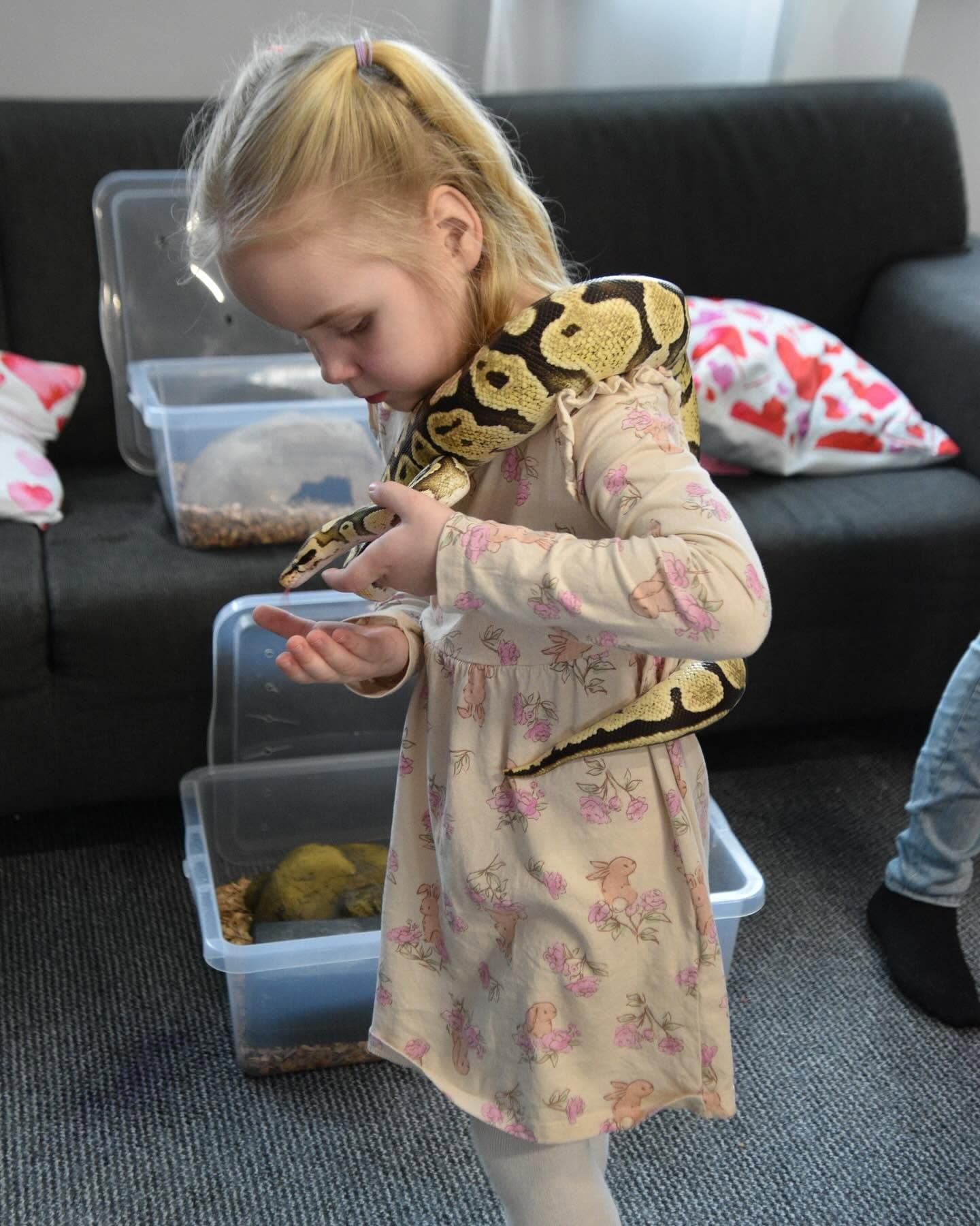 Programmid madudega üritusel: Maod laste sünnipäevadel